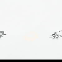 Wasted Paris U Pike Earring