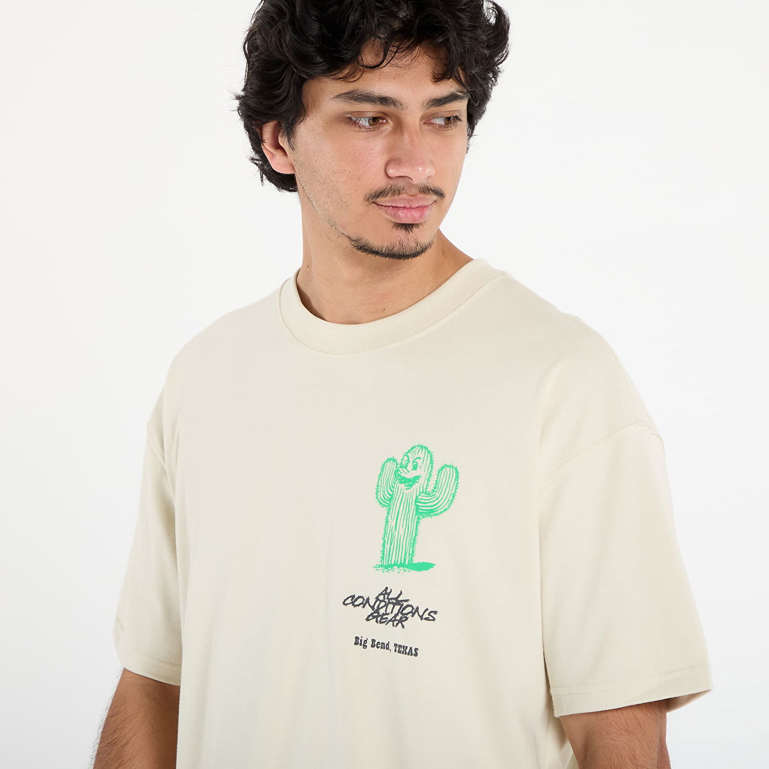 Tričko Nike ACG ACG Cactus Graphic Tee Béžová | HV1292-229, 1