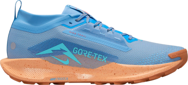 Tenisky a topánky Nike Pegasus Trail 5 GORE-TEX Modrá | fq0908-400, 2
