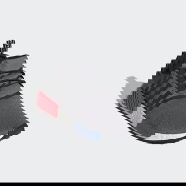 Tenisky a topánky adidas Originals NMD_R1 Šedá | GZ7924, 5