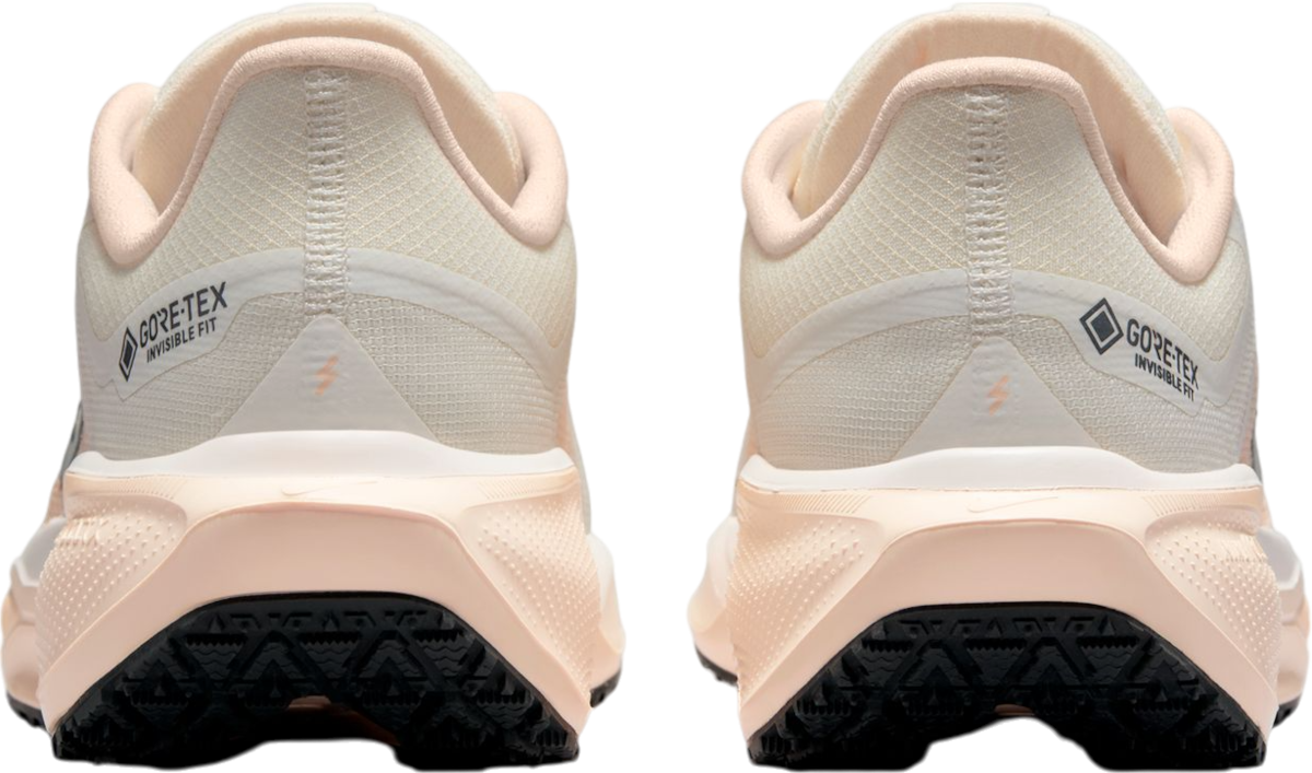 Tenisky a topánky Nike Pegasus 41 GORE-TEX Béžová | fq1357-100, 1
