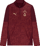 Puma GSK Training 1/4 Zip Top