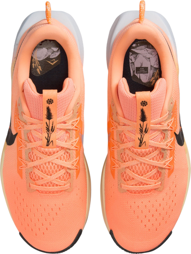 Tenisky a topánky Nike Pegasus Trail 5 Oranžová | dv3865-800, 2