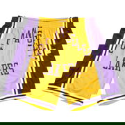 Blown Out Fashion Shorts Los Angeles Lakers