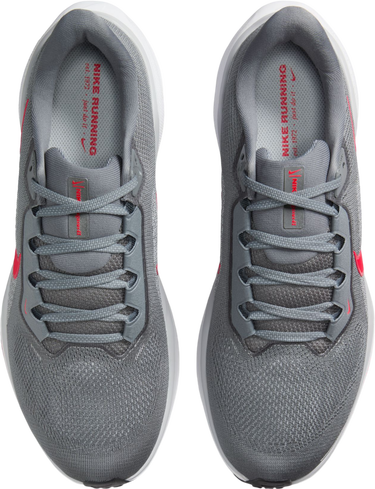 Tenisky a topánky Nike Pegasus 41 Šedá | fd2722-013, 2