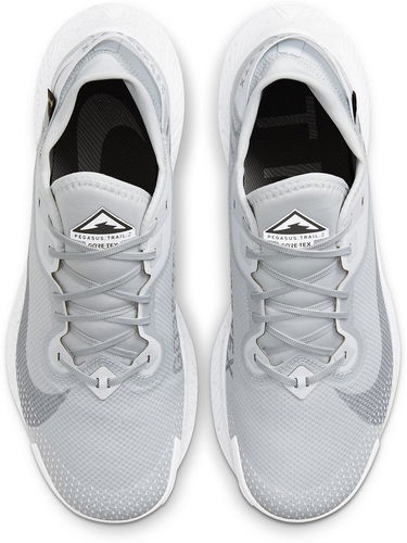 Tenisky a topánky Nike Pegasus Trail 2 GTX Šedá | dc1933-100, 3