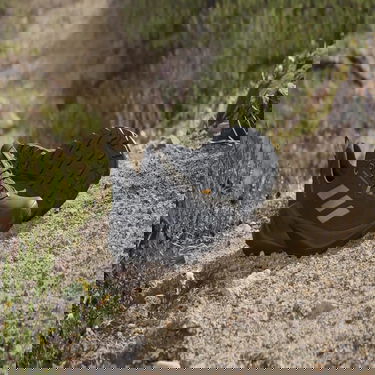 Tenisky a topánky adidas Performance adidas TERREX TRAILMAKER 2 Čierna | IE4842, 2