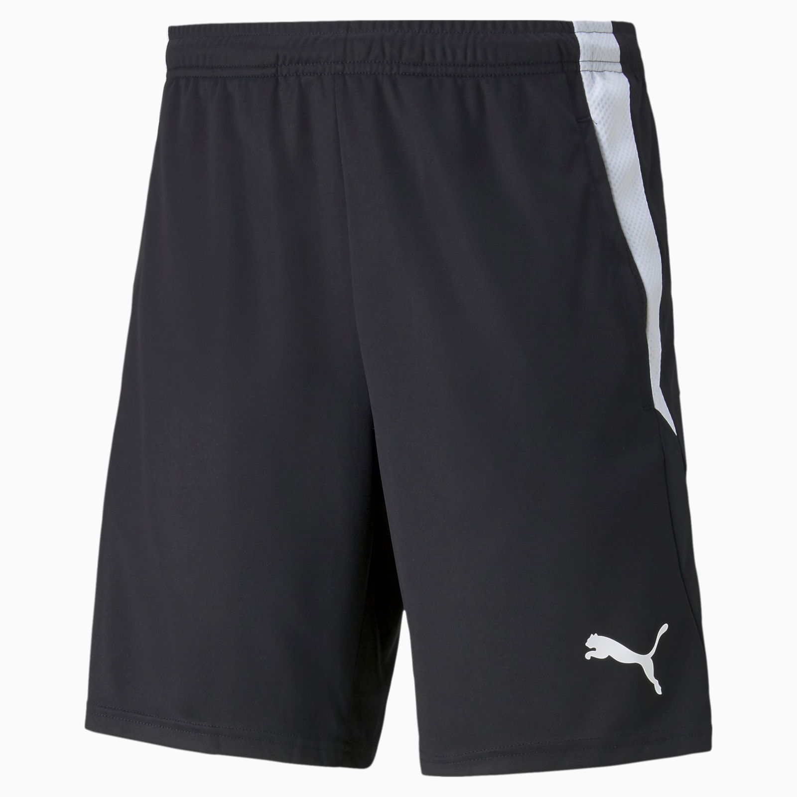 teamLIGA Training Shorts