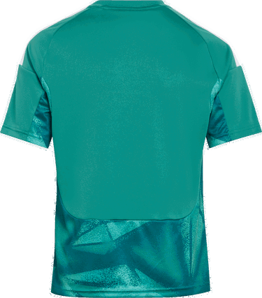 Dres adidas Originals Germany Goalkeeper 2026 Jersey Tyrkysová | kd5120, 1