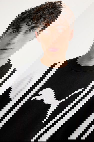 Sveter Puma Vertical Stripe Color Block Crewneck Knit Sweater Čierna | 632294, 7