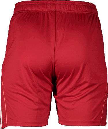 Šortky adidas Originals Fortuna Düsseldorf Home Shorts 2025/26 Červená | 6f95jd7410-home, 1