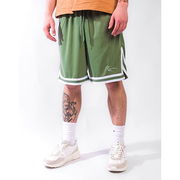 Karl Kani Signature Mesh Shorts