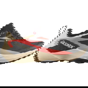 Tenisky a topánky Salomon Genesis GTX Béžová | L47807900, 1