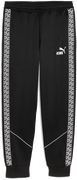 teamKING Anthem Pants