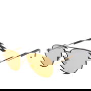 Matte Black Aviator Sunglasses