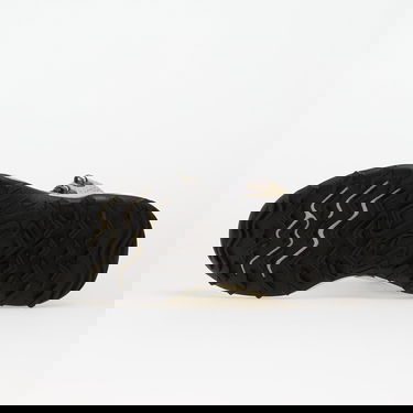 Tenisky a topánky Reebok KITARI DMX Béžová | 100227012, 1