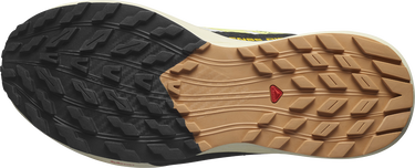 Tenisky a topánky Salomon SENSE RIDE 5 W Žltá | l47458800, 2