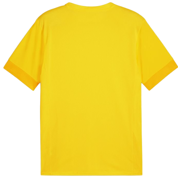 Dres Puma teamGOAL Matchday Jersey Žltá | 705747-07, 1