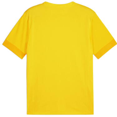 Dres Puma teamGOAL Matchday Jersey Žltá | 705747-07, 1