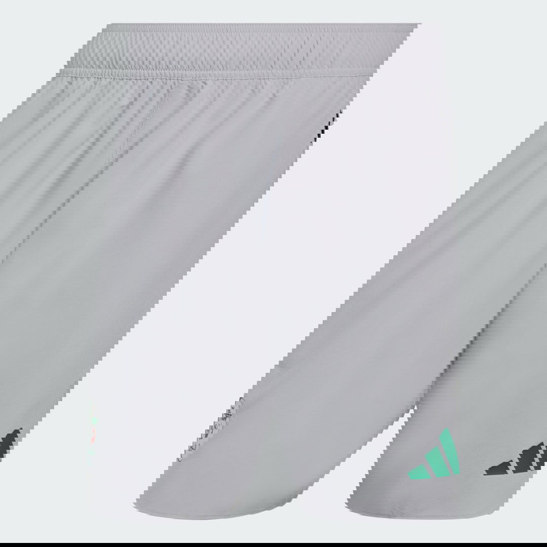 Šortky adidas Performance Tiro Tech Algeria Training Shorts Šedá | JZ6256, 0