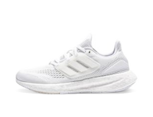 PUREBOOST 22