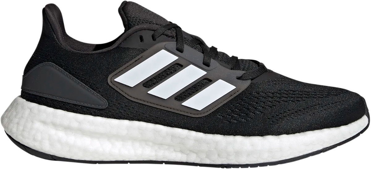 Pureboost 22