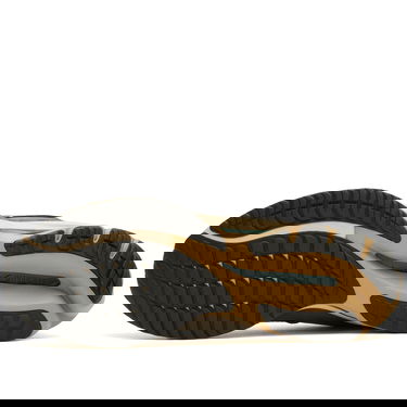 Tenisky a topánky Mizuno WAVE RIDER Hnedá | D1GA3309-24, 5