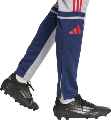 Tepláky adidas Originals SQUADRA 25 Training Pants Šedá | jp3372, 3