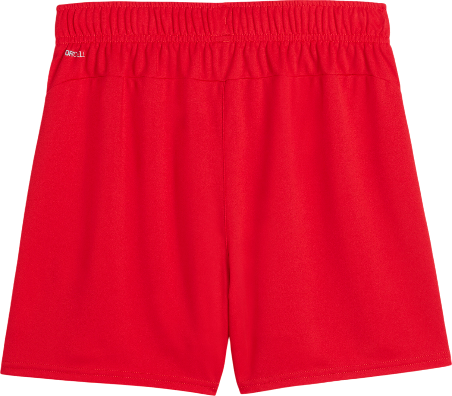 Šortky Puma Puma teamGOAL Handball Shorts Červená | 706019-01, 1