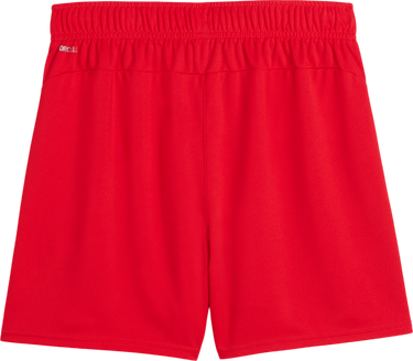 Šortky Puma Puma teamGOAL Handball Shorts Červená | 706019-01, 1