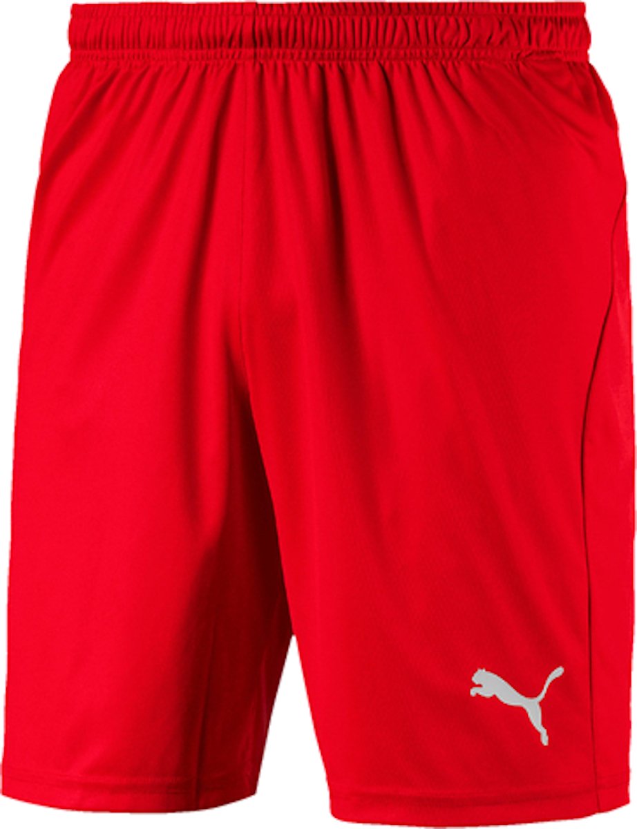 Šortky Puma Puma Liga Core Shorts Červená | 703436-001, 0