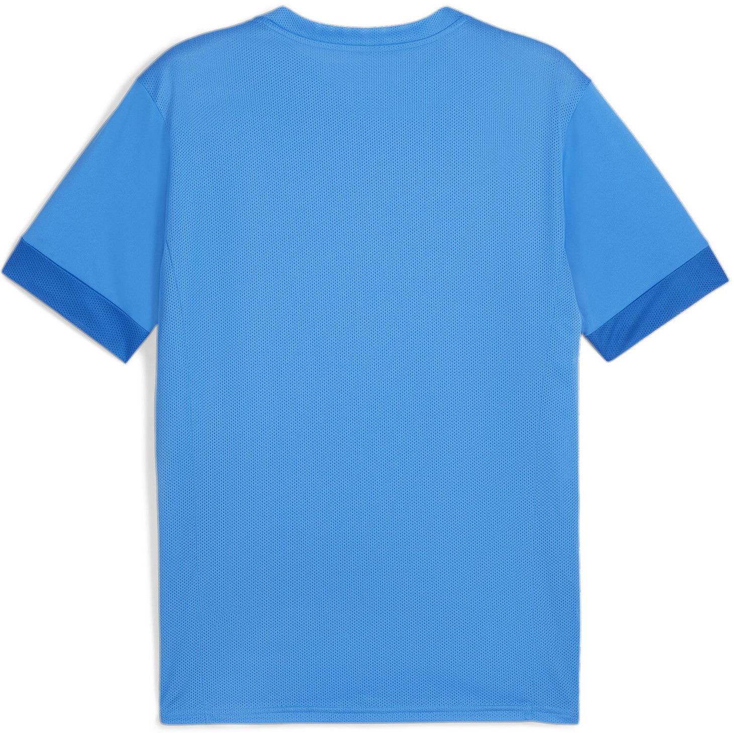 Dres Puma teamGOAL Matchday Jersey Tyrkysová | 705747-02, 1