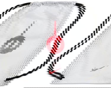 Tenisky a topánky Nike LEGEND 10 ELITE AG-PRO Biela | dv4330-100, 8