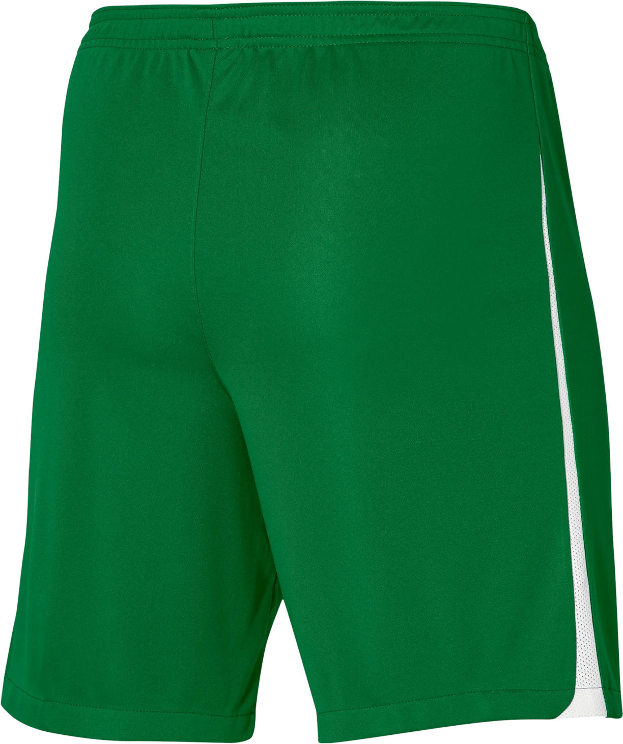 Šortky Nike Nike League III Shorts Zelené | dr0968-302, 1