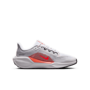Tenisky a topánky Nike Pegasus 41 Šedá | FN5041-105, 1