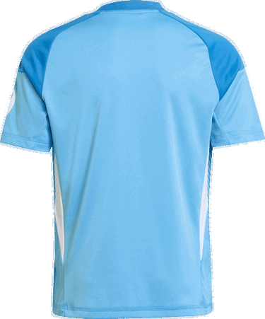 Dres adidas Performance Real Madrid 25/26 Youth Home Goalkeeper Jersey Modrá | JP4176, 2