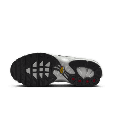 Tenisky a topánky Nike Air Max Plus Šedá | FV8480-002, 2