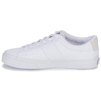 Polo by Ralph Lauren Polo Ralph Lauren SAYER-SNEAKERS-LOW TOP LACE 816893734003