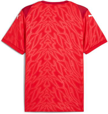 Dres Puma Puma teamCUP Jersey Červená | 706272-01, 1