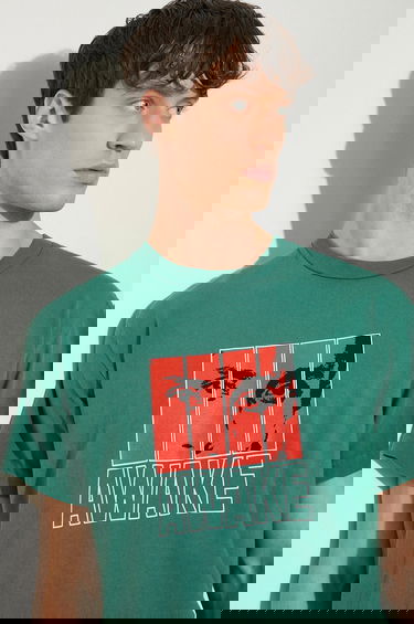 Tričko Awake NY Vegas Awake Graphic T-Shirt Zelené | SP24.TS006, 4