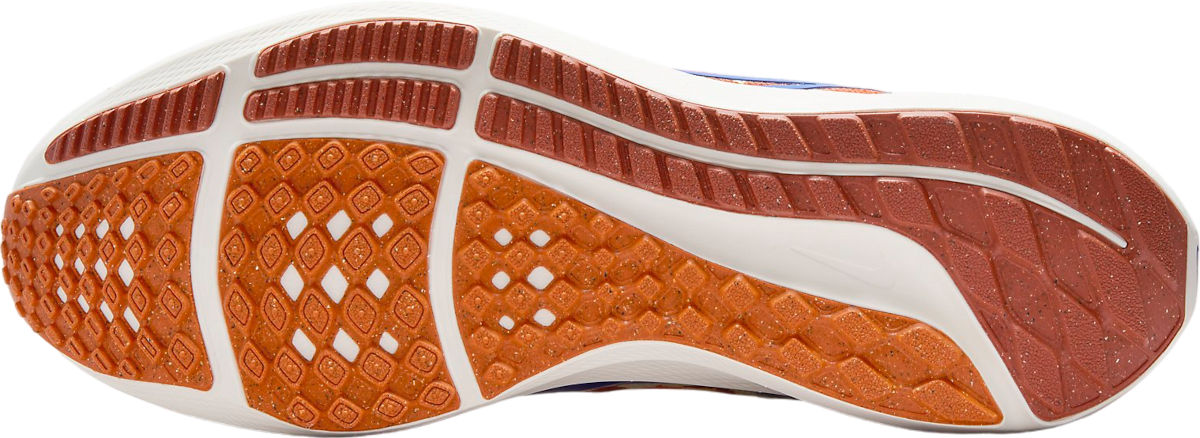 Tenisky a topánky Nike Pegasus 40 Premium Červená | fq7680-100, 1
