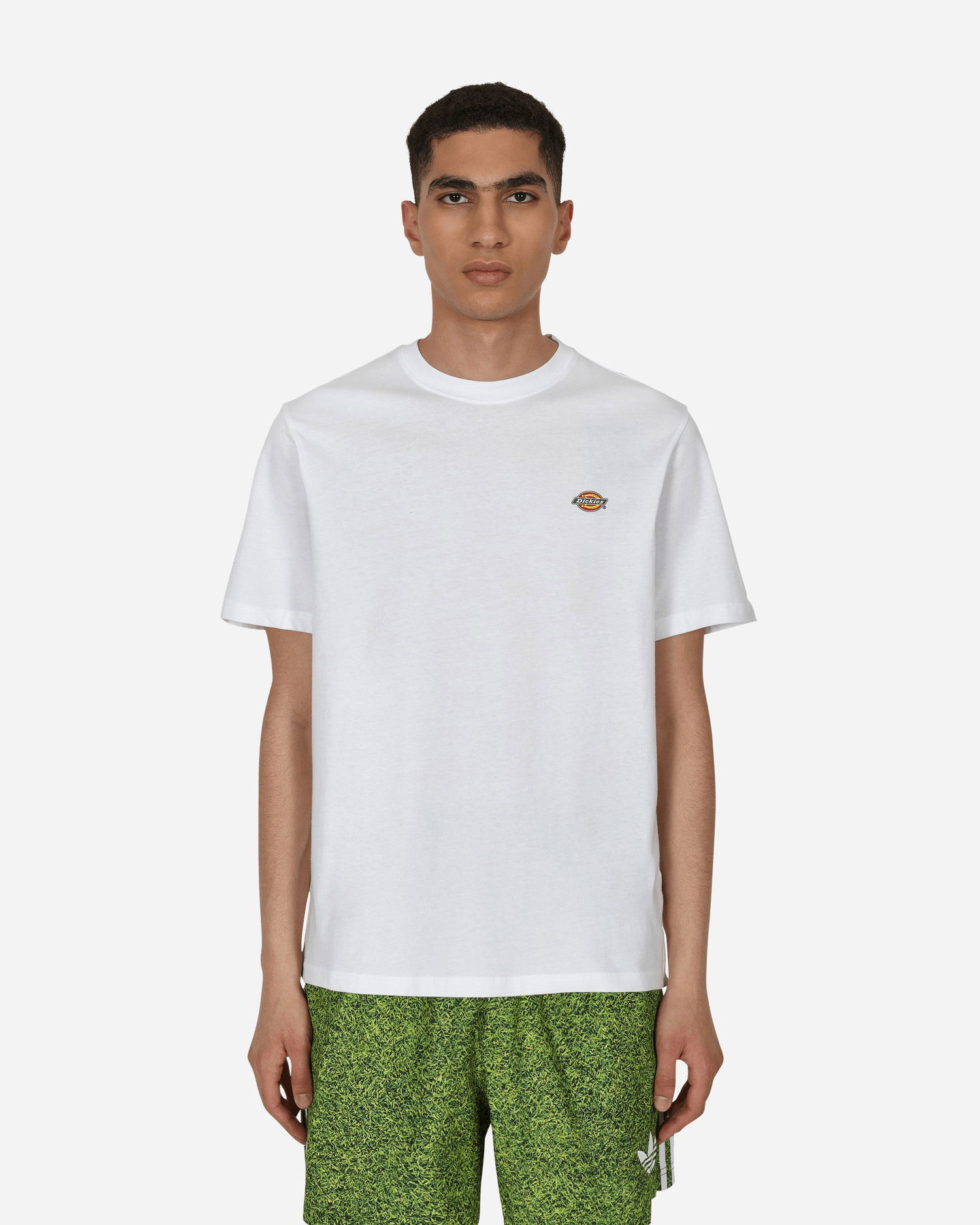 Tričko Dickies Mapleton T-Shirt Biela | DK0A4XDBWHX1, 0