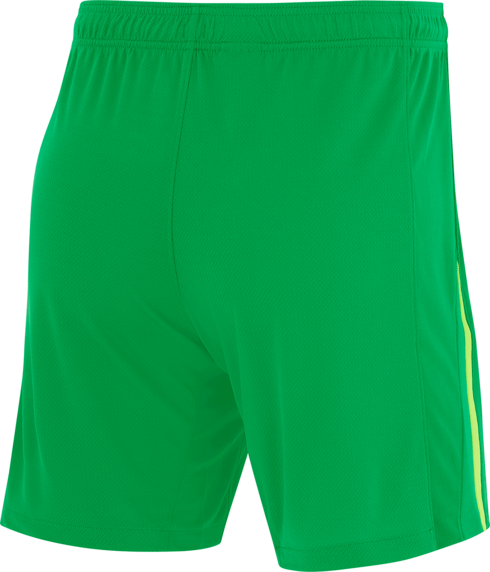 Green Training Shorts 2024/25