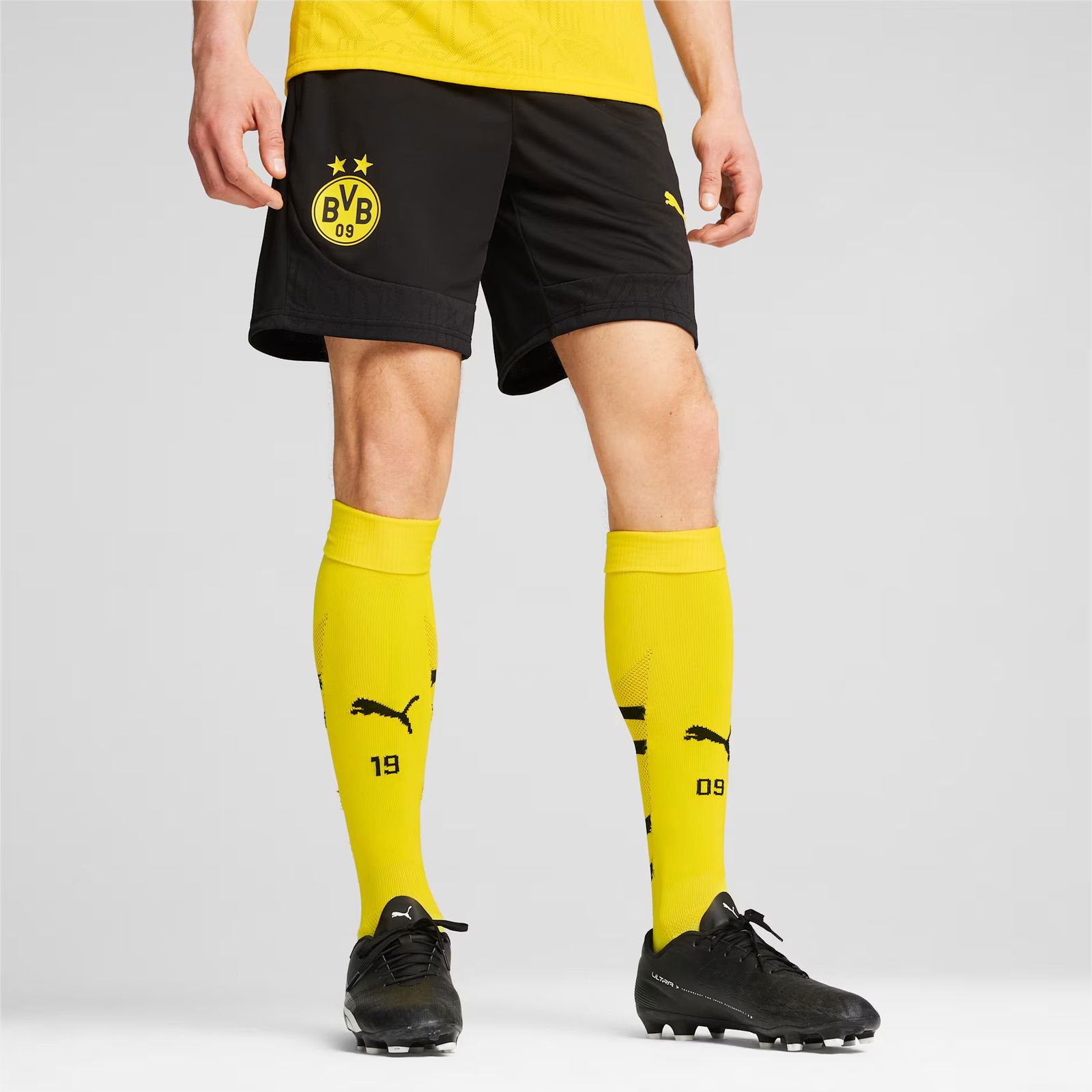 BVB Training Shorts