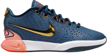 Tenisky a topánky Nike LEBRON XXI SE (GS) Modrá | fv3606-400, 0