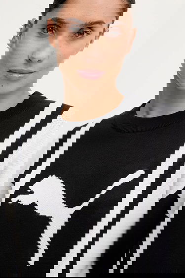 Sveter Puma Vertical Stripe Color Block Crewneck Knit Sweater Čierna | 632294, 8