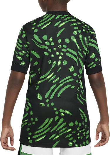 Dres Nike Nigeria Football Federation Short Sleeve Dri-FIT Stadium Jersey AW 2024 Rôznofarebný | fq8860-010, 1
