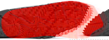 Tenisky a topánky Nike Air Max 90 "Love Letter" W Ružová | DD8029-100, 4