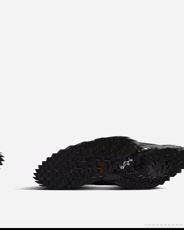 Tenisky a topánky Nike Air Max Plus PRM "Black Tea" Čierna | HJ4519-200, 4