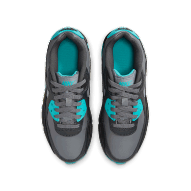 Tenisky a topánky Nike Air Max 90 LTR Tyrkysová | CD6864-027, 2